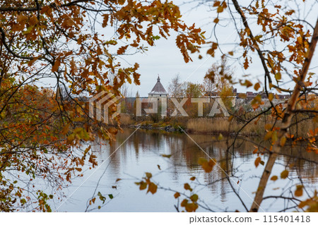 Landscape with blurred trees branches and Shlisselburg Fortress Landscape with blurred trees branches and Shlisselburg Fortress 115401418
