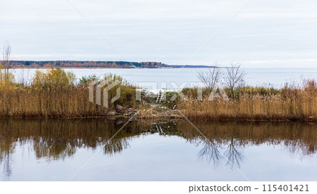 Panoramic natural background photo with cloudy sky and bare trees 115401421
