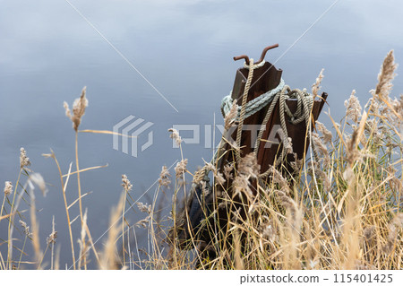 Autumn landscape with reed and mooring pillars at rocky coast Autumn landscape with reed and mooring pillars at rocky coast 115401425