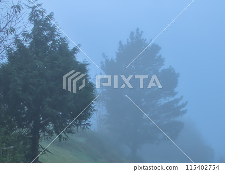 It dawns with fog in the mountains of the Basque country of Spain It dawns with fog in the mountains of the Basque country of Spain 115402754