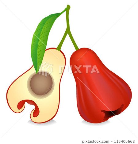 Syzygium jambos or rose apples fruits on a white background. Syzygium jambos or rose apples fruits on a white background. 115403668