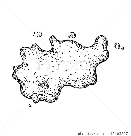 drop water puddle sketch hand drawn vector 115403897