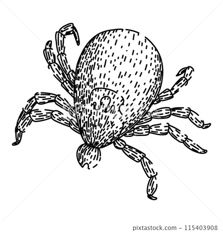 bite tick sketch hand drawn vector bite tick sketch hand drawn vector 115403908