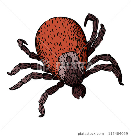 bite tick sketch hand drawn vector 115404039