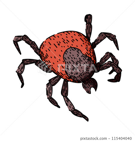 lyme tick sketch hand drawn vector lyme tick sketch hand drawn vector 115404040