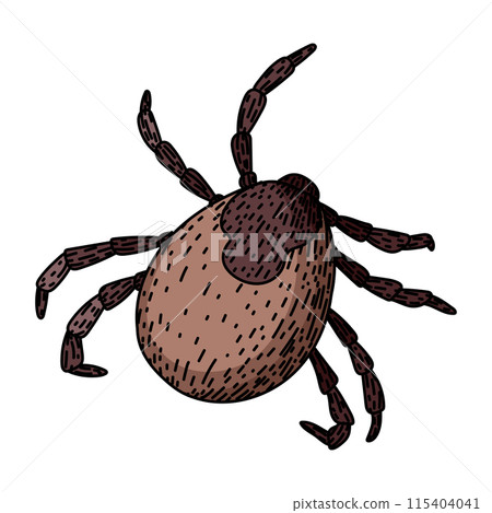 insect tick sketch hand drawn vector 115404041