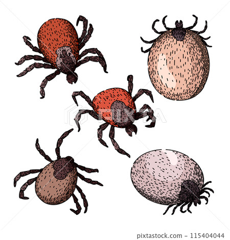 tick set sketch hand drawn vector 115404044
