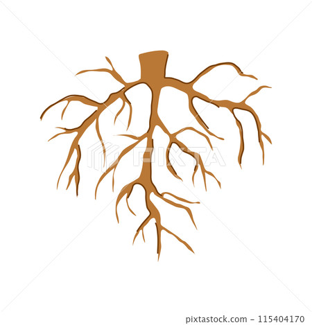 plant tree root cartoon vector illustration 115404170