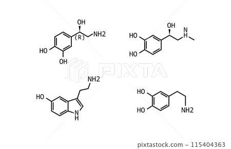 Catecholamines vector formula illustration isolated Catecholamines vector formula illustration isolated 115404363