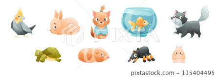 Cute Home Pet Animal with Bird, Rabbit, Dog, Fish, Cat, Turtle, Hamster and Spider Vector Set Cute Home Pet Animal with Bird, Rabbit, Dog, Fish, Cat, Turtle, Hamster and Spider Vector Set 115404495
