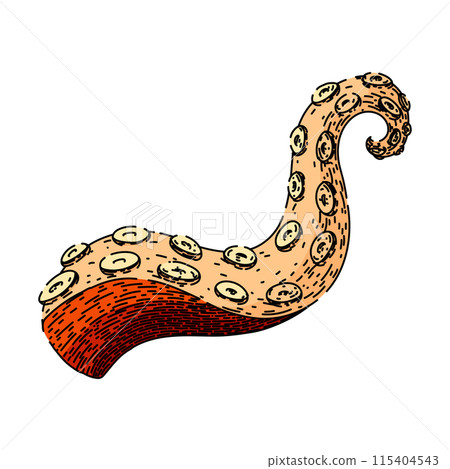 tattoo octopus kraken tentacle sketch hand drawn vector 115404543