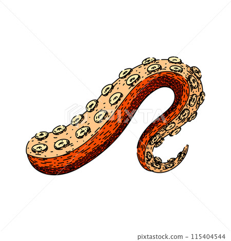 sea octopus kraken tentacle sketch hand drawn vector 115404544