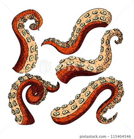 octopus kraken tentacle set sketch hand drawn vector 115404546