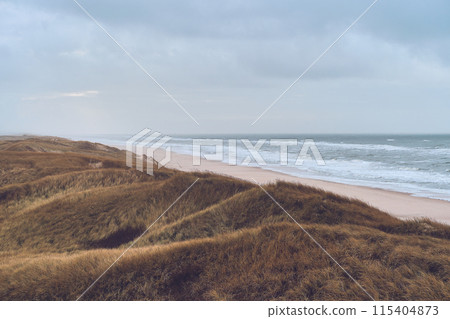 Dunes in bad weather at danish west coast Dunes in bad weather at danish west coast 115404873
