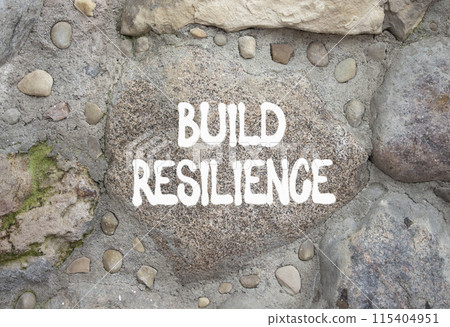 Build resilience symbol. Stone wall with words Build resilience. Beautiful stone background. Business and Build resilience concept. Copy space. 115404951