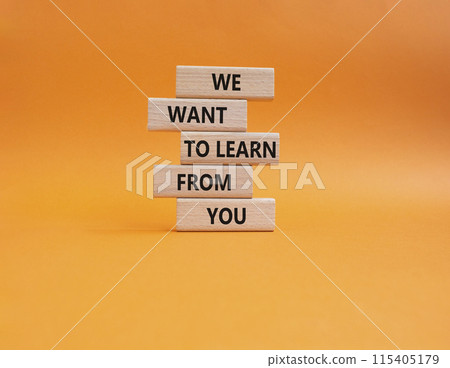 We want to learn from you symbol. Wooden blocks with words We want to learn from you. Beautiful orange background. Business and We want to learn from you. Copy space. We want to learn from you symbol. Wooden blocks with words We want to learn from you. Beautiful orange background. Business and We want to learn from you. Copy space. 115405179