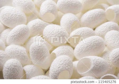 Group of empty natural silk cocoons Group of empty natural silk cocoons 115405276