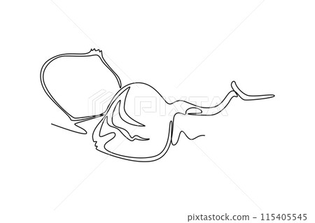 Continuous one line drawing of whole and sliced healthy organic jicama for orchard logo identity. Fresh yam vegetable concept for vegan farm icon. Single line draw design vector graphic illustration Continuous one line drawing of whole and sliced healthy organic jicama for orchard logo identity. Fresh yam vegetable concept for vegan farm icon. Single line draw design vector graphic illustration 115405545