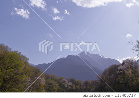 Late spring in the countryside as wild cherry blossoms bloom in mid-Autumn 115406737