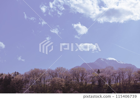 晚春的里山,卯月中旬後野櫻花盛開 晚春的里山,卯月中旬後野櫻花盛開 115406739
