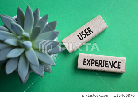 User Experience symbol. Concept word User Experience on wooden blocks. Beautiful green background with succulent plant. Business and User Experience concept. Copy space 115406876