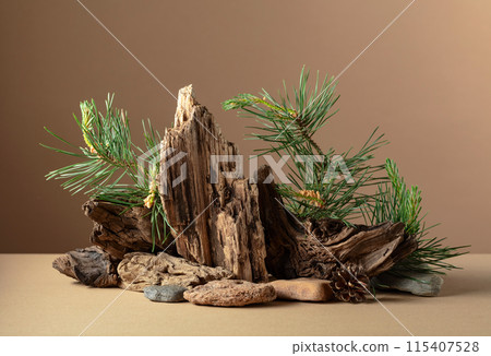 Abstract nature scene with a composition of pine branches, stones, and dry snags. 115407528