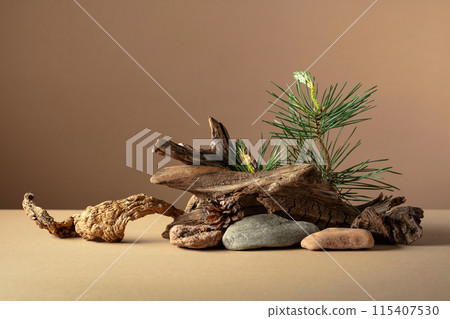 Abstract nature scene with a composition of pine branches, stones, and dry snags. 115407530