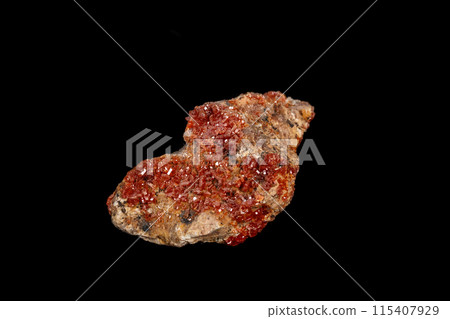 Macro mineral stone Vanadinite on a black background Macro mineral stone Vanadinite on a black background 115407929