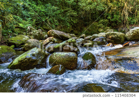 Waterfall among the rocks in the rainforest 115408304