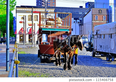 Touring downtown Obihiro - Horse-drawn carriage bar Banba Touring downtown Obihiro - Horse-drawn carriage bar Banba 115408758