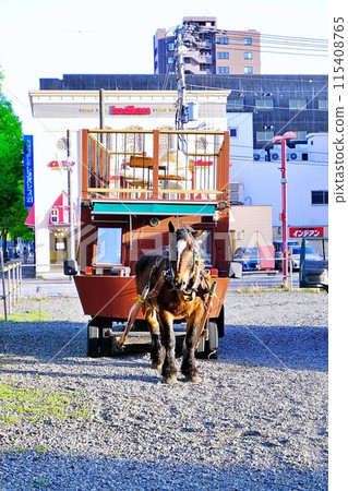 Touring downtown Obihiro - Horse-drawn carriage bar Banba 115408765
