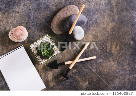 Succulent in a pot and tools for home gardening on the table top view Succulent in a pot and tools for home gardening on the table top view 115408857