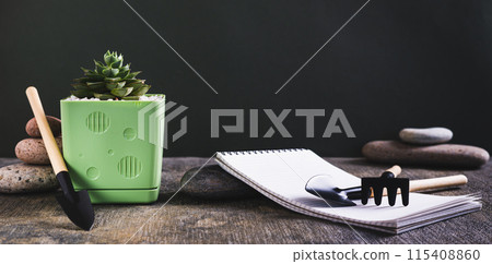 Succulent plant, home gardening tools, notebook and stones on the table web banner Succulent plant, home gardening tools, notebook and stones on the table web banner 115408860