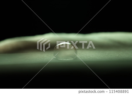 Drop of water on a bird feather, blue light, macro view Drop of water on a bird feather, blue light, macro view 115408891