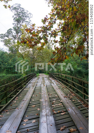 Wooden bridge across the river in the autumn park 115408902