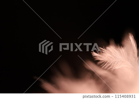 White texture abstract on black background, bird feather White texture abstract on black background, bird feather 115408931