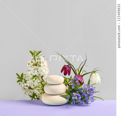 Wood slice podium with spring flowers branches of cherry blossoms, grouse on purple background. Concept scene stage showcase for new product, banner, promotion sale, cosmetic, presentation 115409832