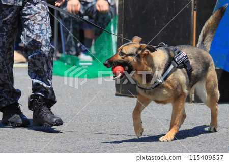 航空自衛隊護衛犬訓練師和護衛犬 115409857