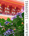 Temple and hydrangea 115409981