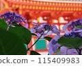 5-storied tower and hydrangea 115409983