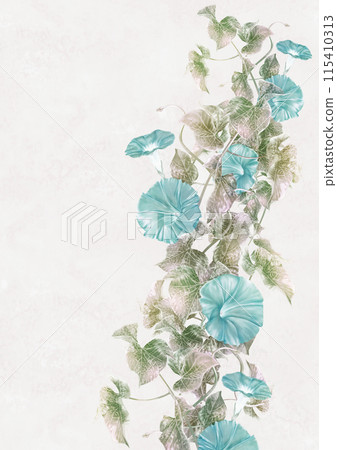Summer morning glories growing on tangled vines Summer morning glories growing on tangled vines 115410313