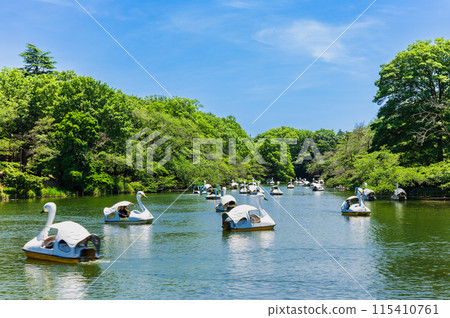 吉祥寺假日井之頭公園 吉祥寺假日井之頭公園 115410761