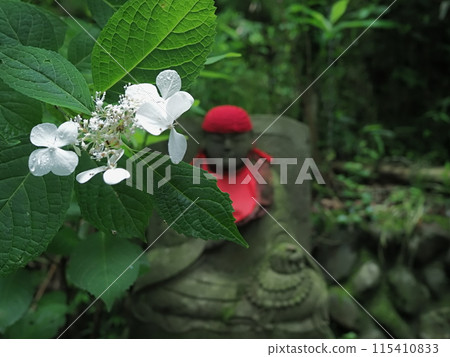 弘法大師與白繡球花【日野市高畠不動尊】 弘法大師與白繡球花【日野市高畠不動尊】 115410833