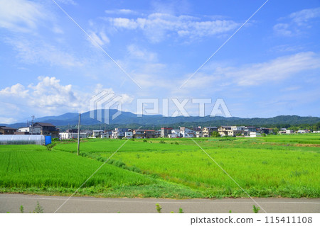 從越後心跳鐵道妙高羽馬線上越妙高站到直江津站的車窗看到的景色（2022年夏季） 115411108