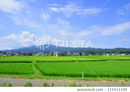 Scenery from the train window on the Echigo Tokimeki Railway Myoko Haneuma Line from Joetsu Myoko Station to Naoetsu Station (Summer 2022) 115411109