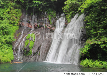 鮮綠的白水瀑布（竹田市） 115411256