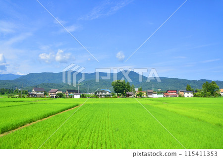 從越後心跳鐵道妙高羽馬線妙高高原站到上越妙高站的車窗看到的景色(2022年夏季) 從越後心跳鐵道妙高羽馬線妙高高原站到上越妙高站的車窗看到的景色(2022年夏季) 115411353