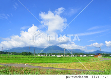 從越後心跳鐵道妙高羽馬線妙高高原站到上越妙高站的車窗看到的景色（2022年夏季） 115411378