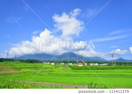 從越後心跳鐵道妙高羽馬線妙高高原站到上越妙高站的車窗看到的景色（2022年夏季） 115411379
