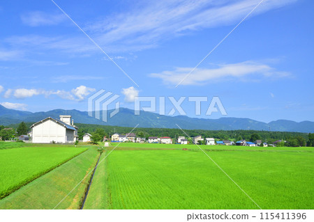 從越後心跳鐵道妙高羽馬線妙高高原站到上越妙高站的車窗看到的景色（2022年夏季） 115411396